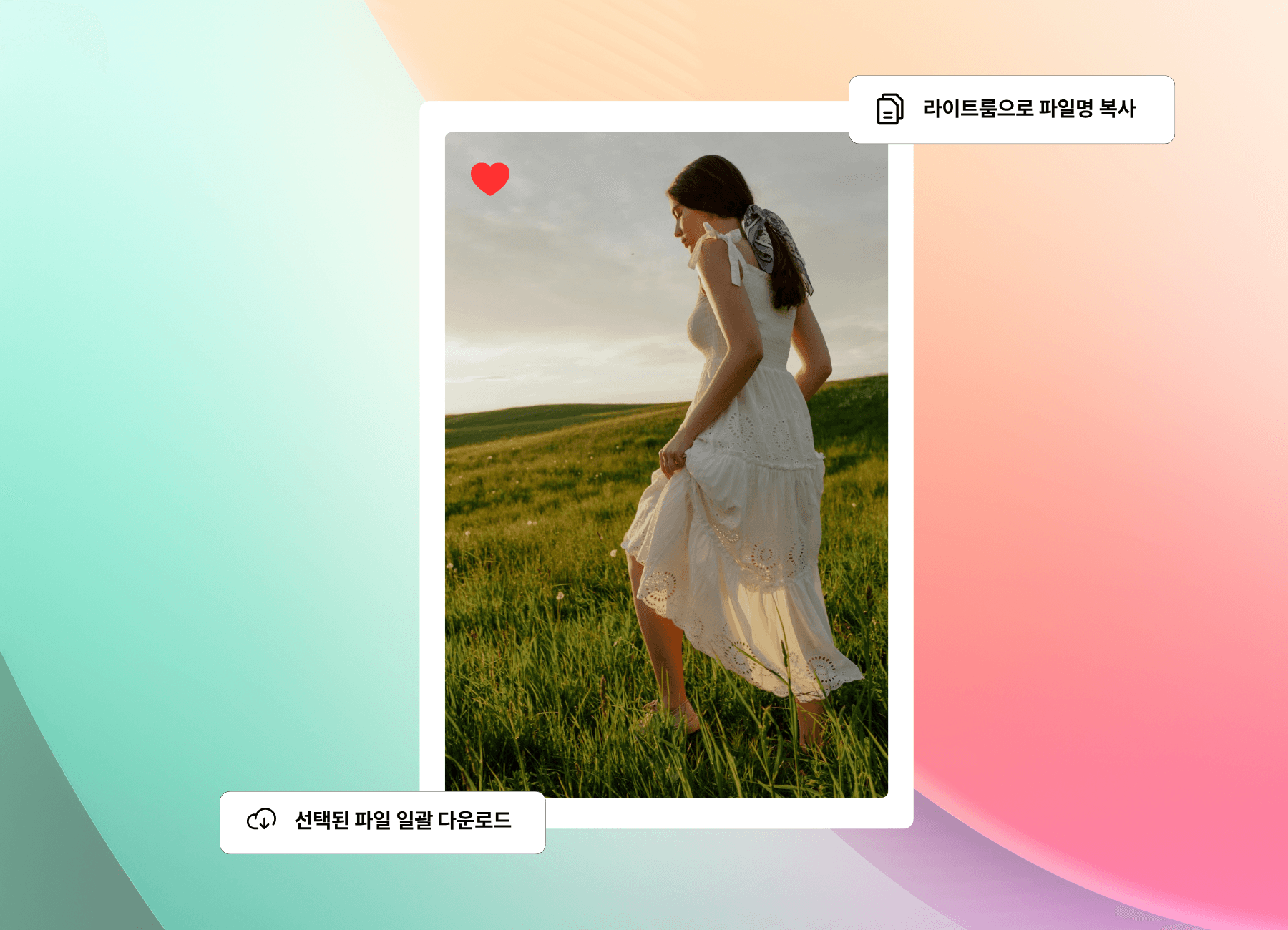 픽스픽스 갤러리 셀렉 - 셀렉 내역 한번에 내려받기